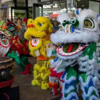 2016 - Chinese New Year Lion Dances